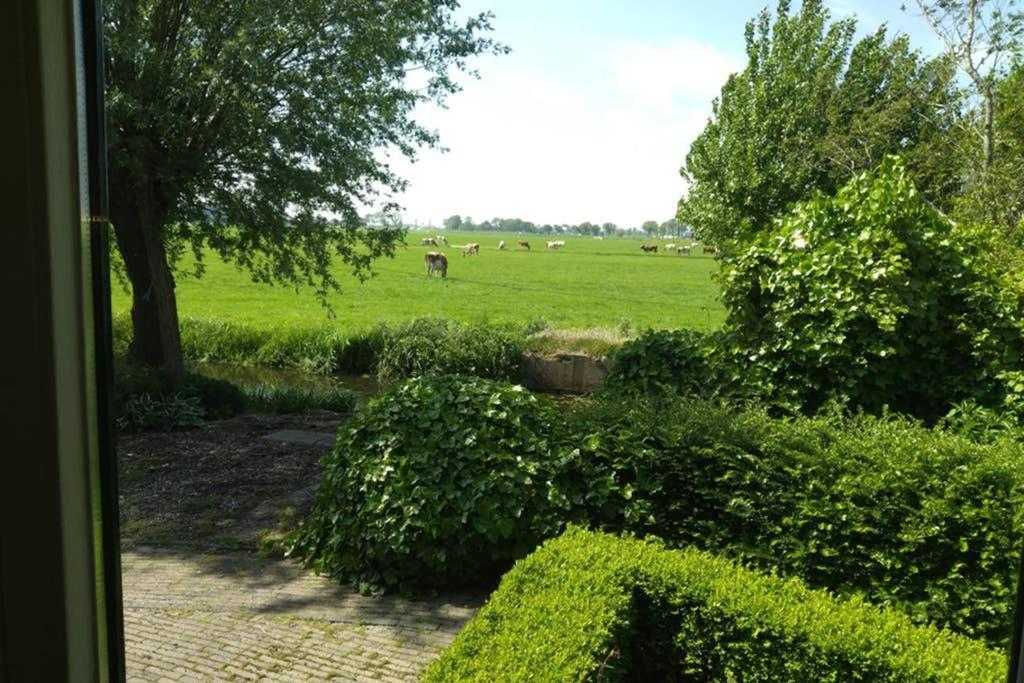 Accommodatie Op Boerderij Buitenlust Weesp Exterior foto